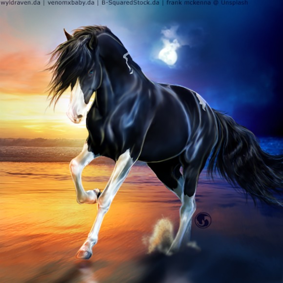 Meet your Posher, Flor - Picture 1 of 1